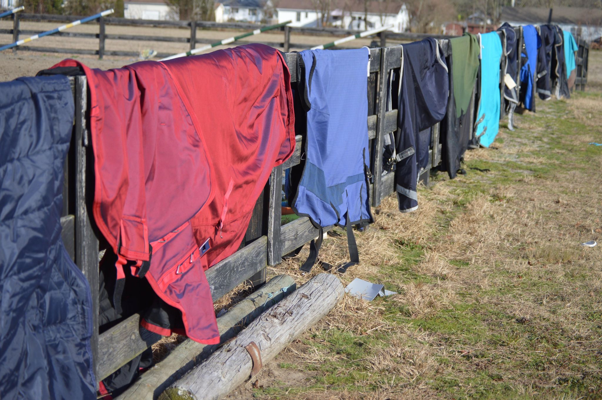 Blanket Safe Uses: The Best Way to Clean Horse Blankets & More – A Game Changer for Equestrians!