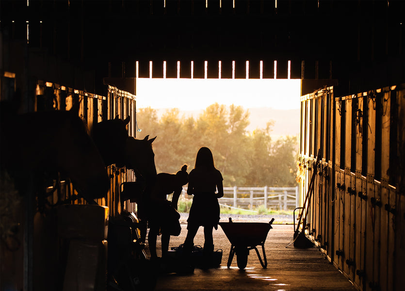 Barn Chores Are Never Done